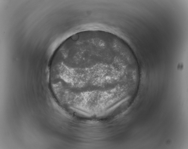 X0000112021509200908241502