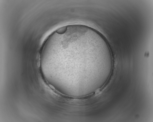 X0000112021510200908241502