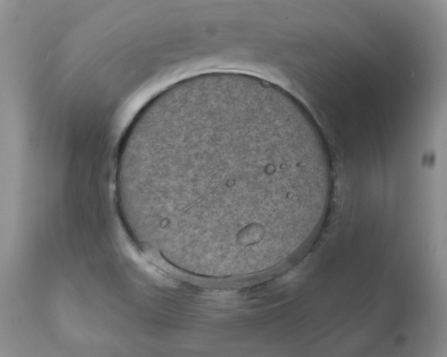 X0000112021511200908241502