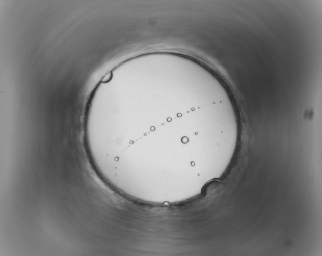 X0000112021512200908241502