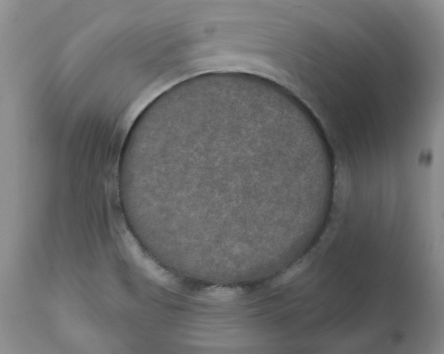 X0000112021513200908241502