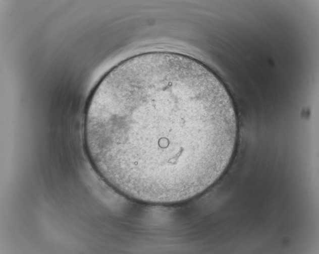 X0000112021514200908241502