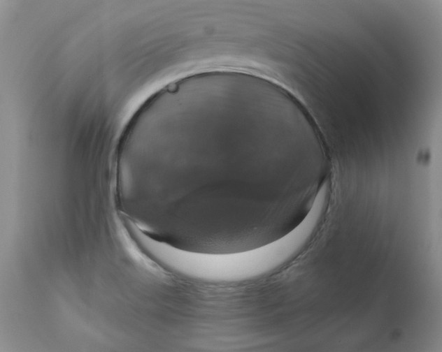 X0000112021515200908241502