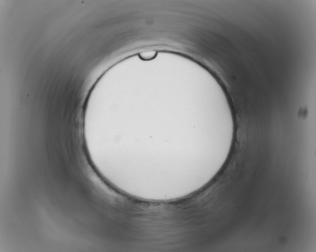 X0000112021516200908241502