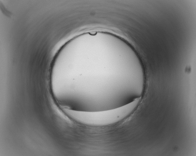 X0000112021518200908241502