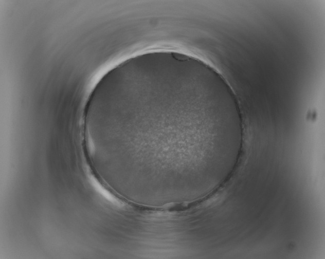 X0000112021519200908241502