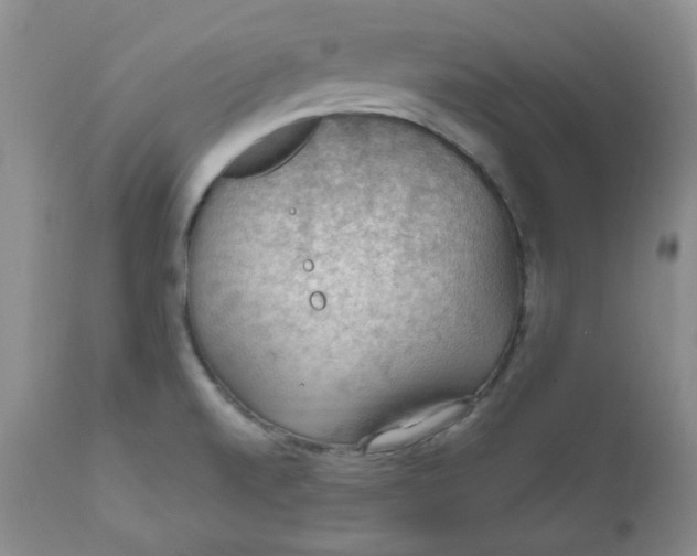 X0000112021520200908241502