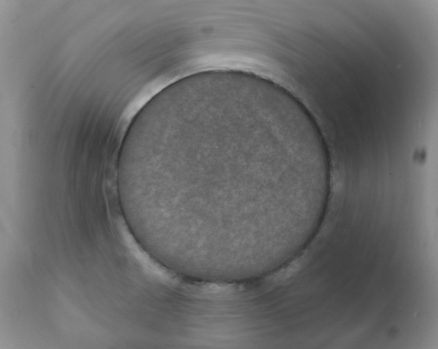 X0000112021521200908241502