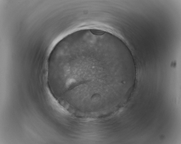 X0000112021522200908241502