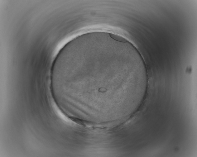 X0000112021523200908241502