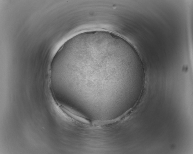 X0000112021524200908241502