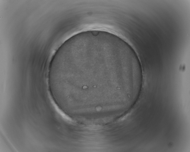 X0000112021525200908241502