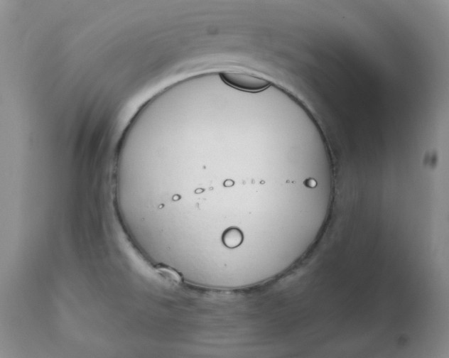 X0000112021526200908241502