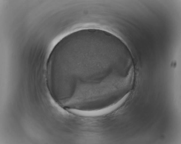 X0000112021527200908241502