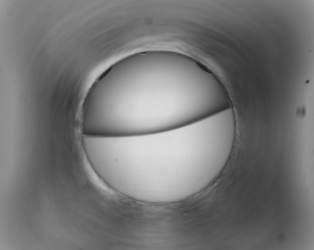 X0000112021528200908241502