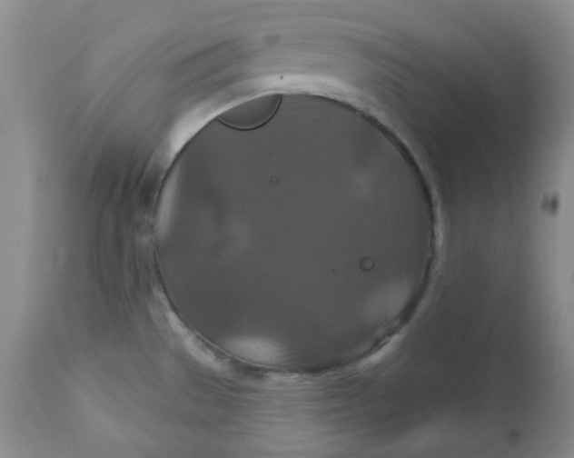 X0000112021529200908241503