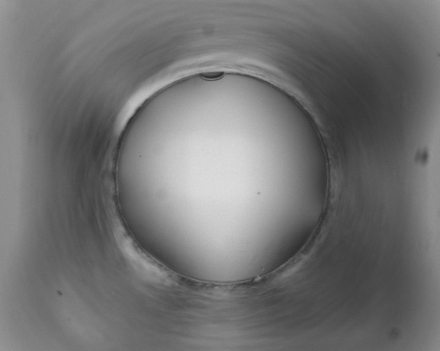 X0000112021530200908241503