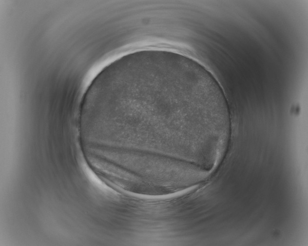 X0000112021531200908241503