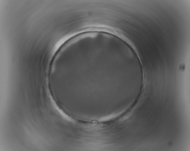 X0000112021533200908241503