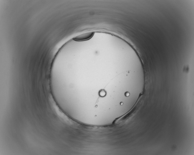 X0000112021534200908241503