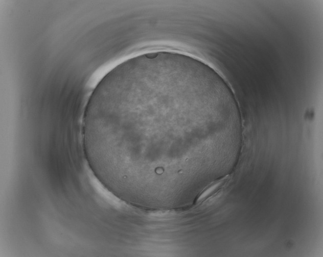 X0000112021535200908241503