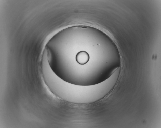 X0000112021536200908241503