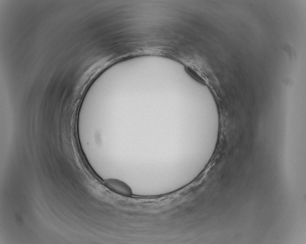 X0000112020001200908311204