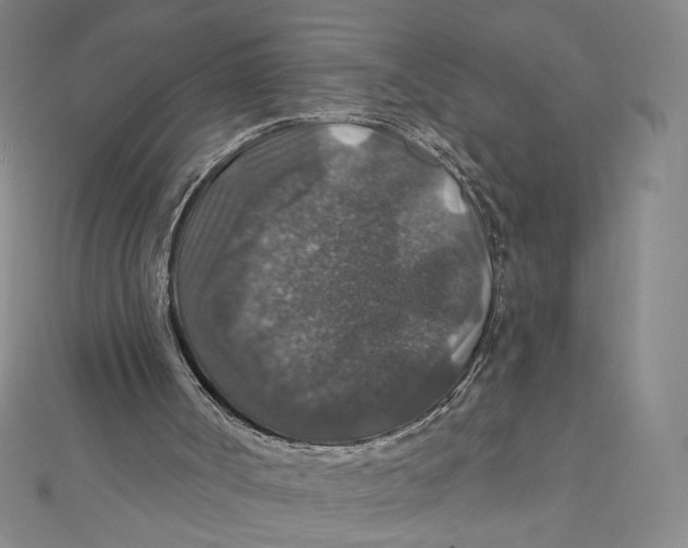 X0000112020002200908311204