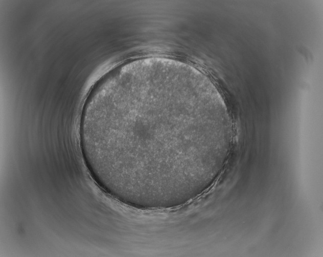 X0000112020004200908311204