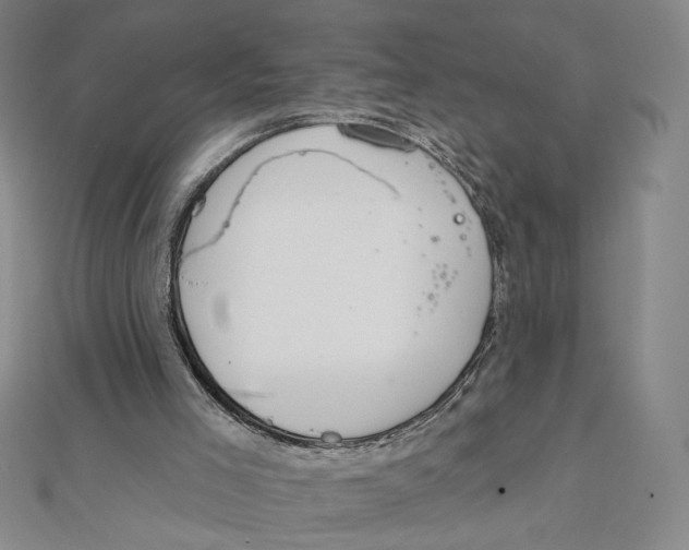 X0000112020005200908311204