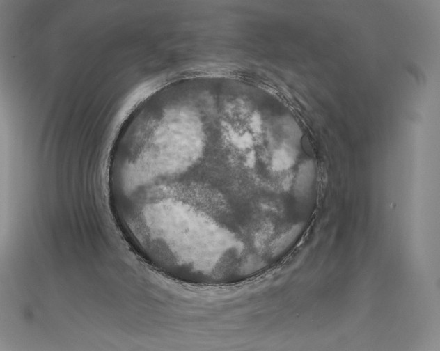 X0000112020006200908311204