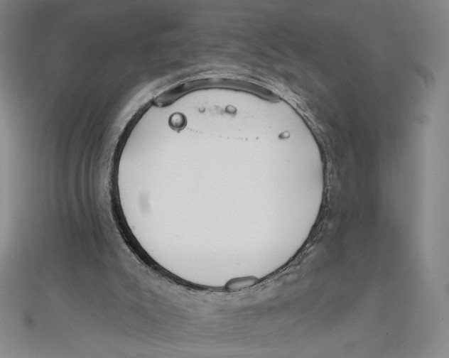 X0000112020007200908311204