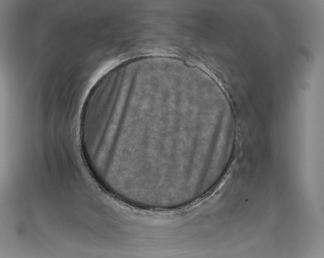 X0000112020008200908311204