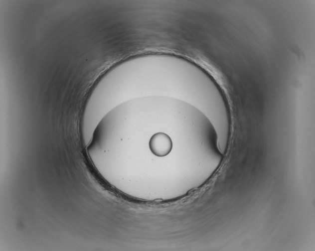 X0000112020009200908311204