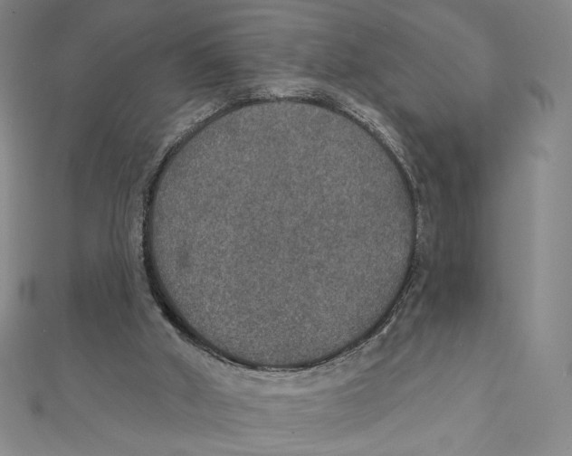 X0000112020010200908311204