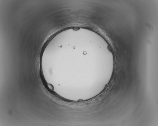 X0000112020011200908311204