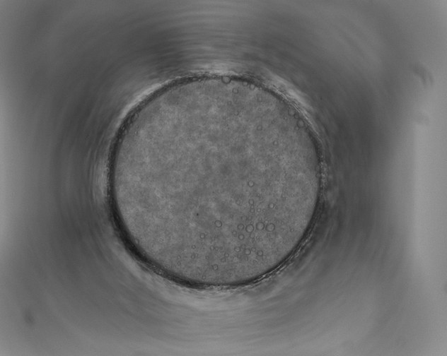 X0000112020012200908311204