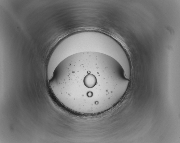 X0000112020013200908311204