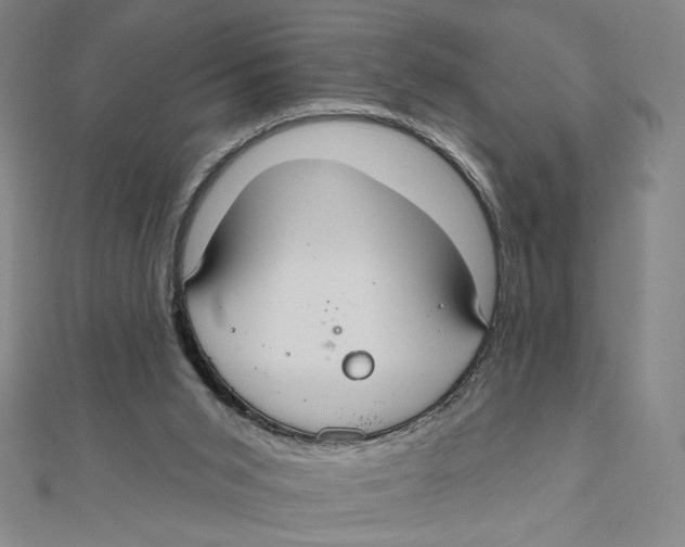 X0000112020015200908311204