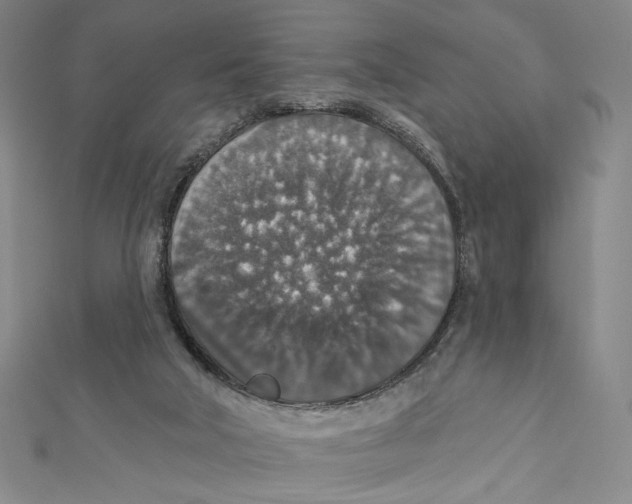 X0000112020018200908311204