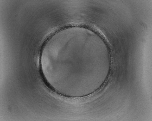 X0000112020019200908311204