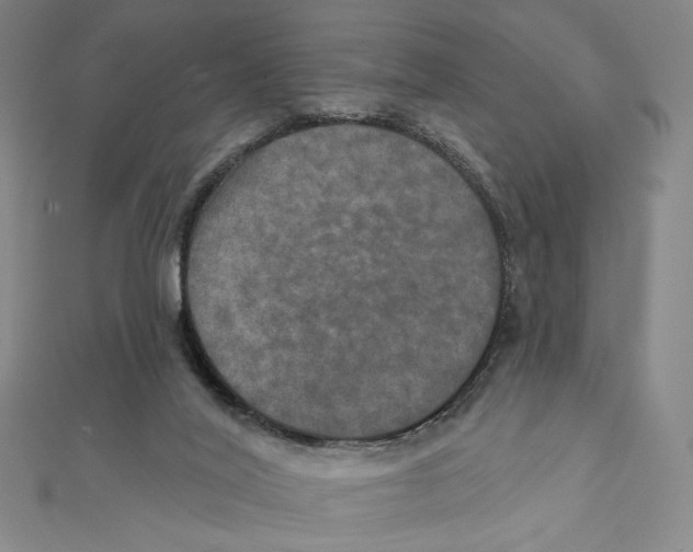 X0000112020020200908311204