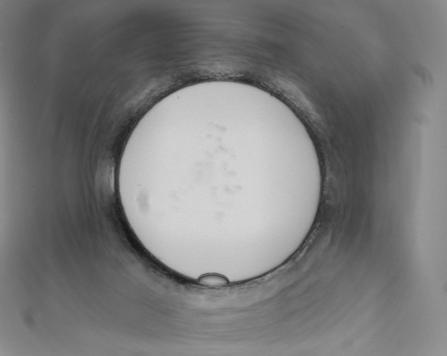 X0000112020021200908311204