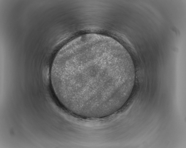 X0000112020024200908311204