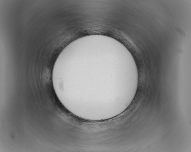 X0000112020025200908311204