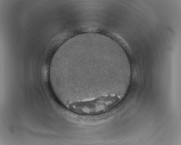 X0000112020026200908311204