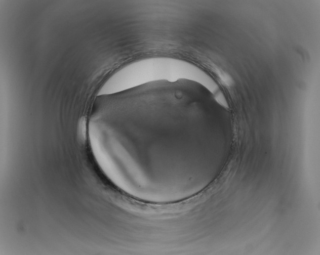 X0000112020027200908311204