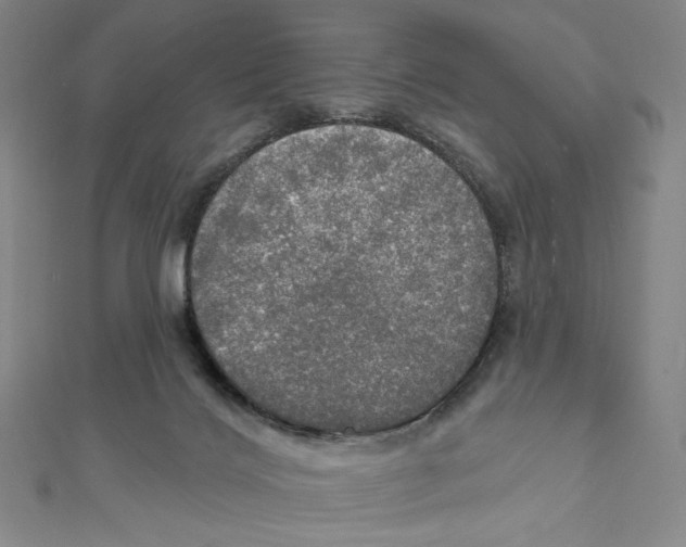 X0000112020028200908311204