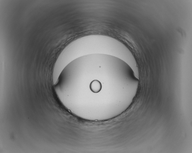 X0000112020029200908311204