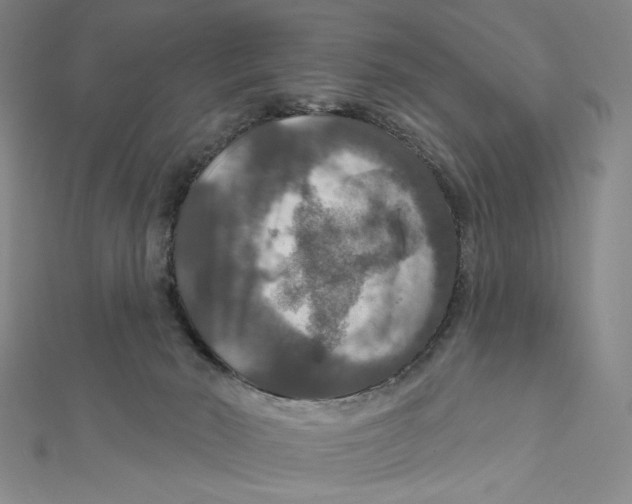 X0000112020030200908311204